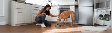 Choosing the Best Dog Food for Your Picky Eater: Tips and Top Recommendations