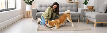 The Importance of Grain-Free Dog Food: Is It Right for Your Pet?